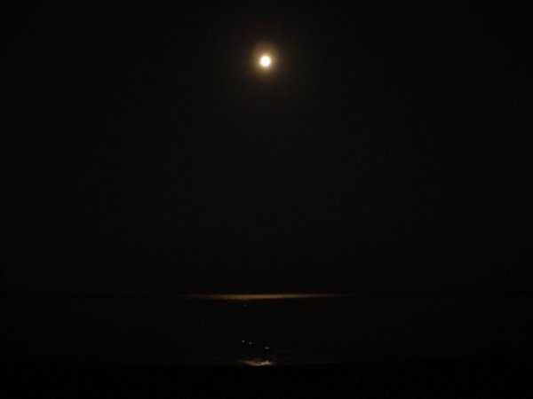 Ночной залив