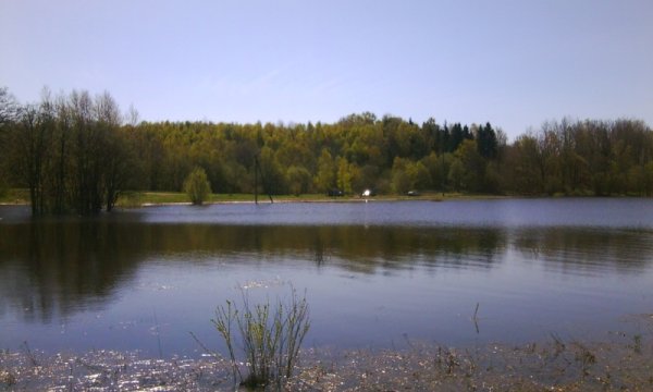 Озеро с карасями