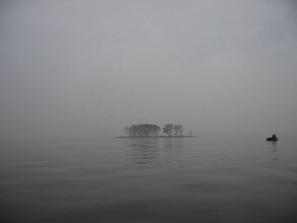 29 октября 2011. Калининградский залив (15)