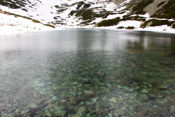 Вода в горном озере