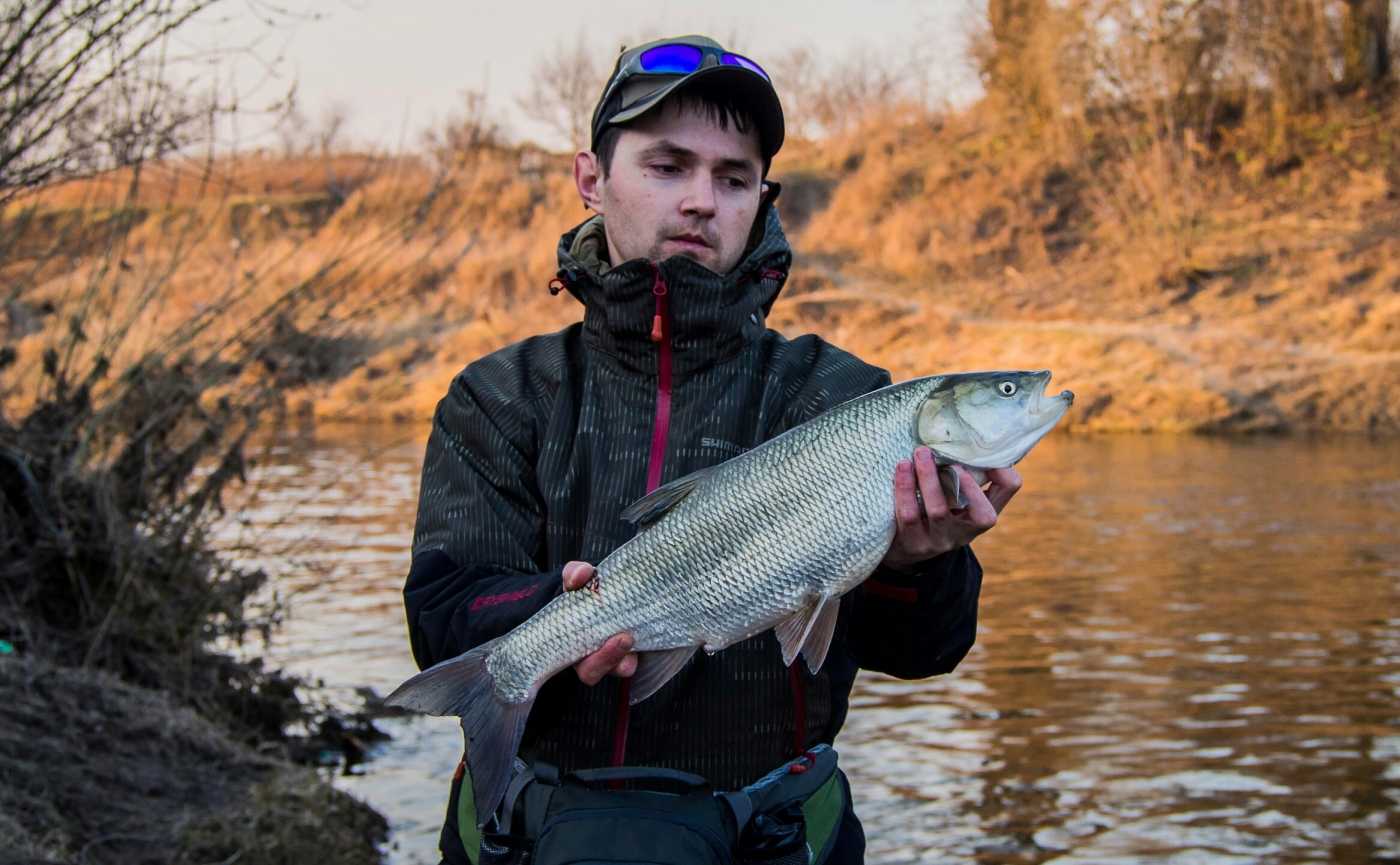 рыбацкий натюрморт на берегу фото. сузун рыбалка. река индель. жерех астрахань. заболотское охотхозяйство рыбалка.