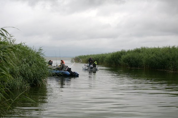 IMG_7639.jpg