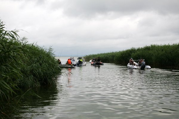 IMG_7642.jpg