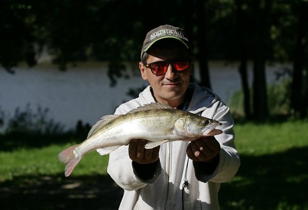 IMG_7747.jpg