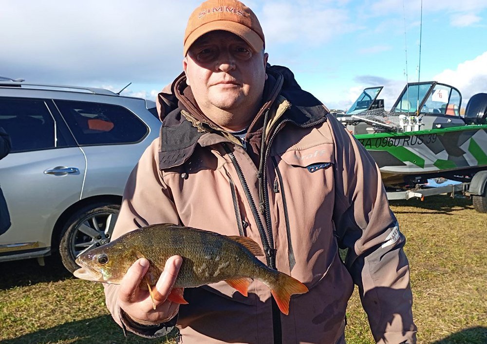 large.attachment9.jpg.c4cde240d1aac4911d