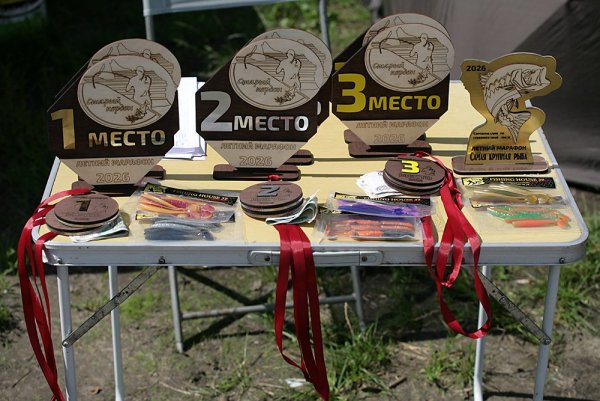 IMG_7826.jpg
